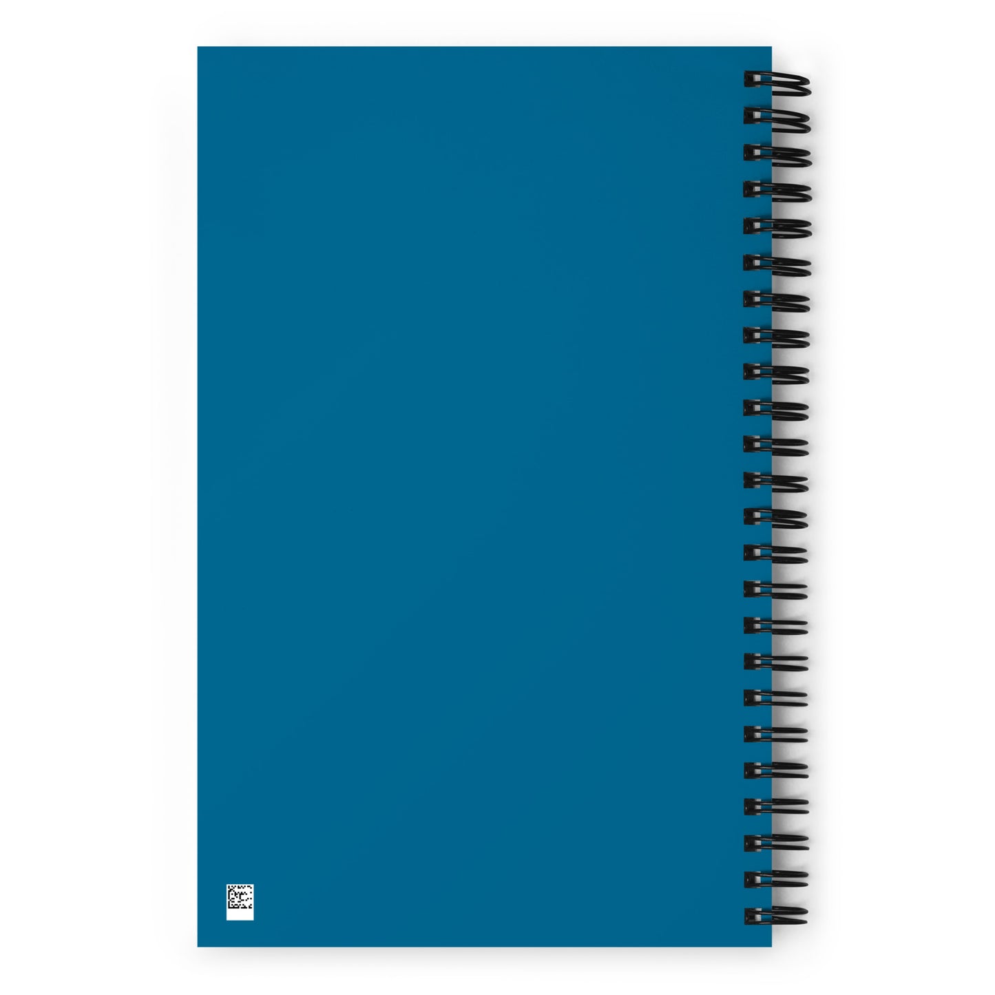 Wisdom comes later Spiral notebook