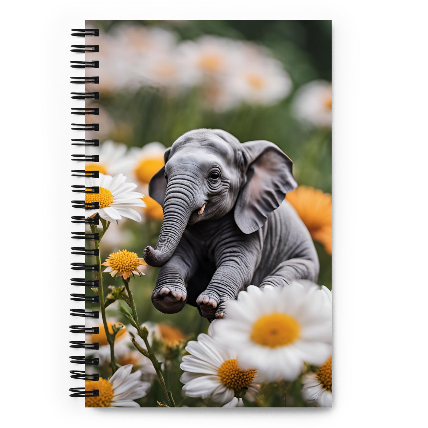 Spiral notebook
