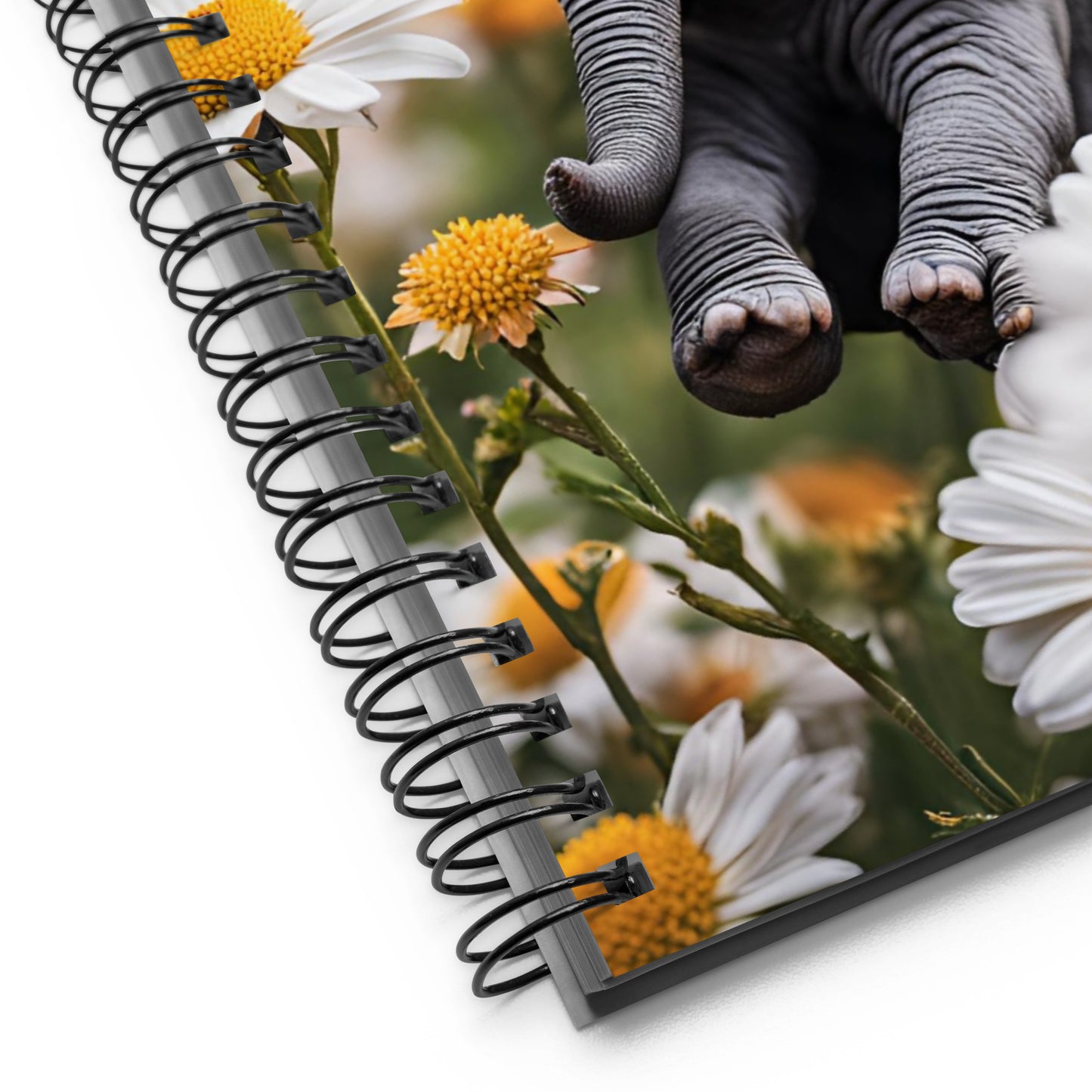 Spiral notebook