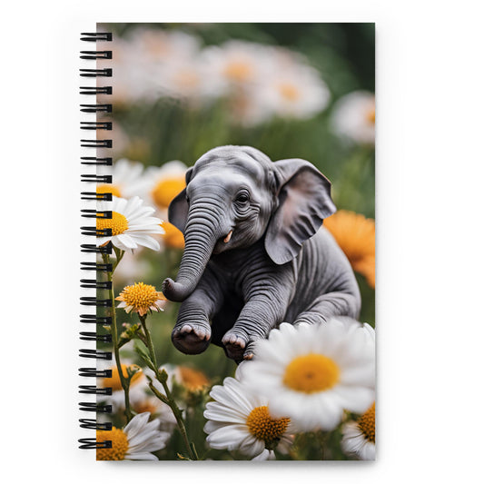 Spiral notebook